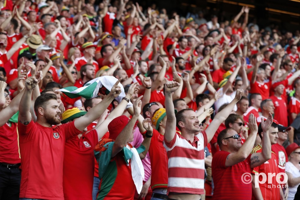 Supporters Wales bij de wedstrijd tussen Wales en Noord Ierland