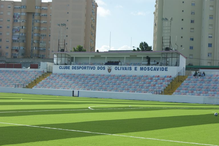 Groundhoppend door Portugal #23: Schitterende treurigheid bij CDOM