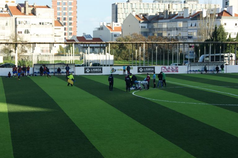 Groundhoppend door Portugal #23: Schitterende treurigheid bij CDOM