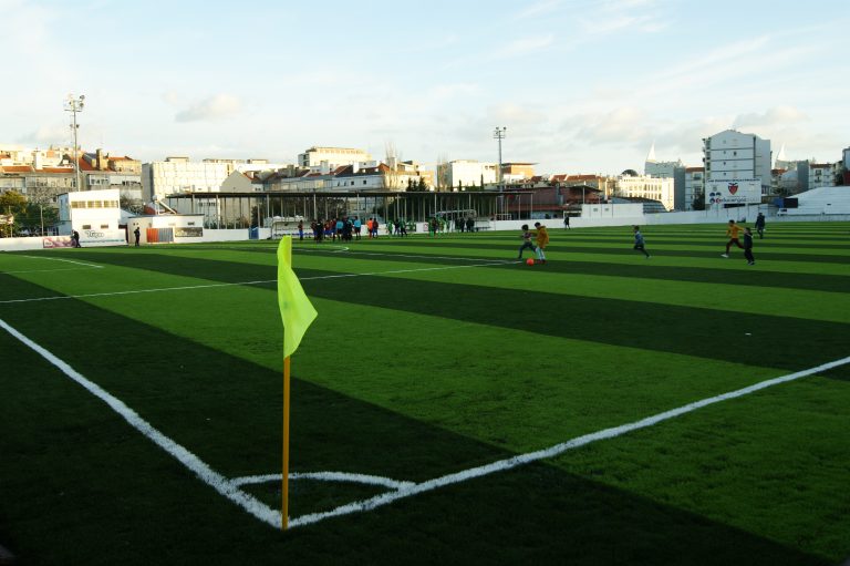 Groundhoppend door Portugal #23: Schitterende treurigheid bij CDOM