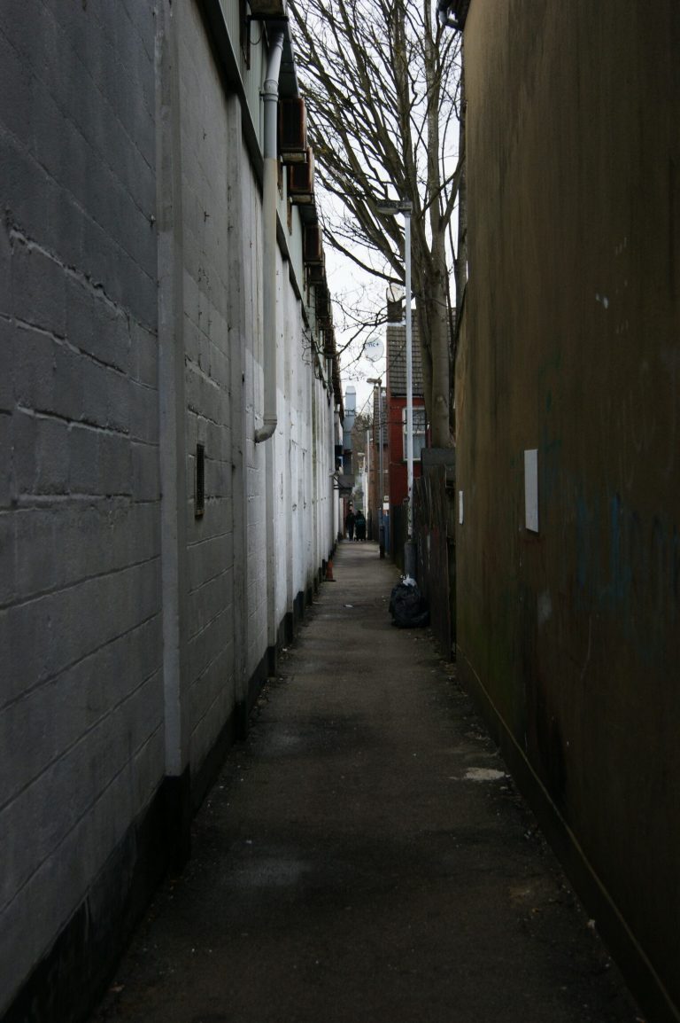 DSC08732 e1548154318448