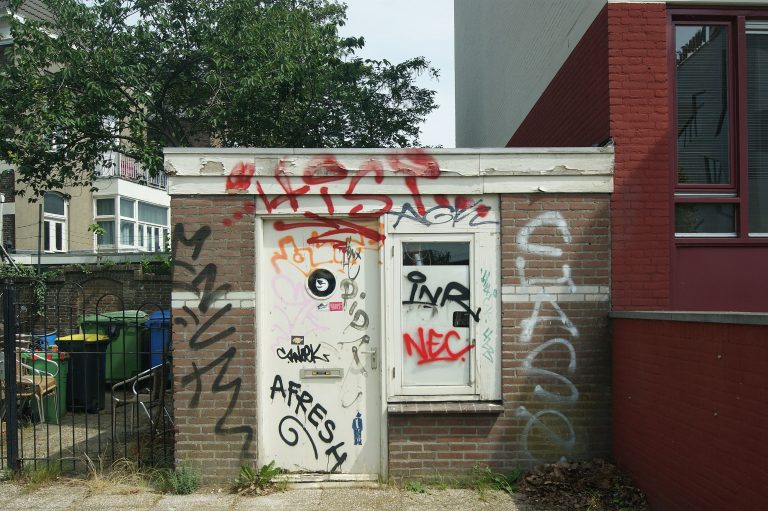 DSC07950 01