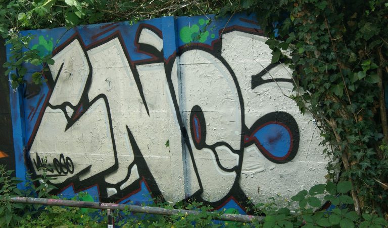 DSC08139 01