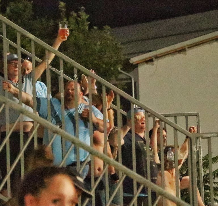 Nk Domzale Malmo FF 12