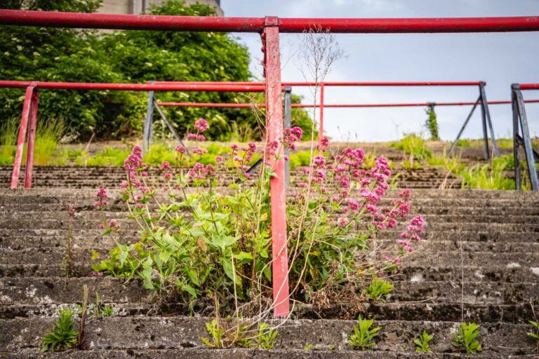 Blijft Dalymount Park toch behouden?
