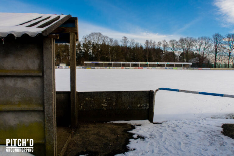 Blauwvoet Oevel 4 van 20