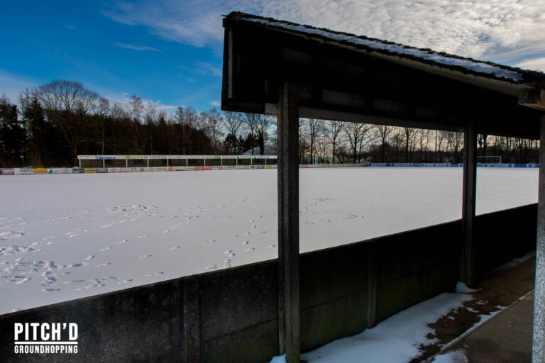Blauwvoet Oevel 5 van 20