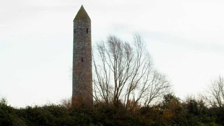 Mesen 8 van 10