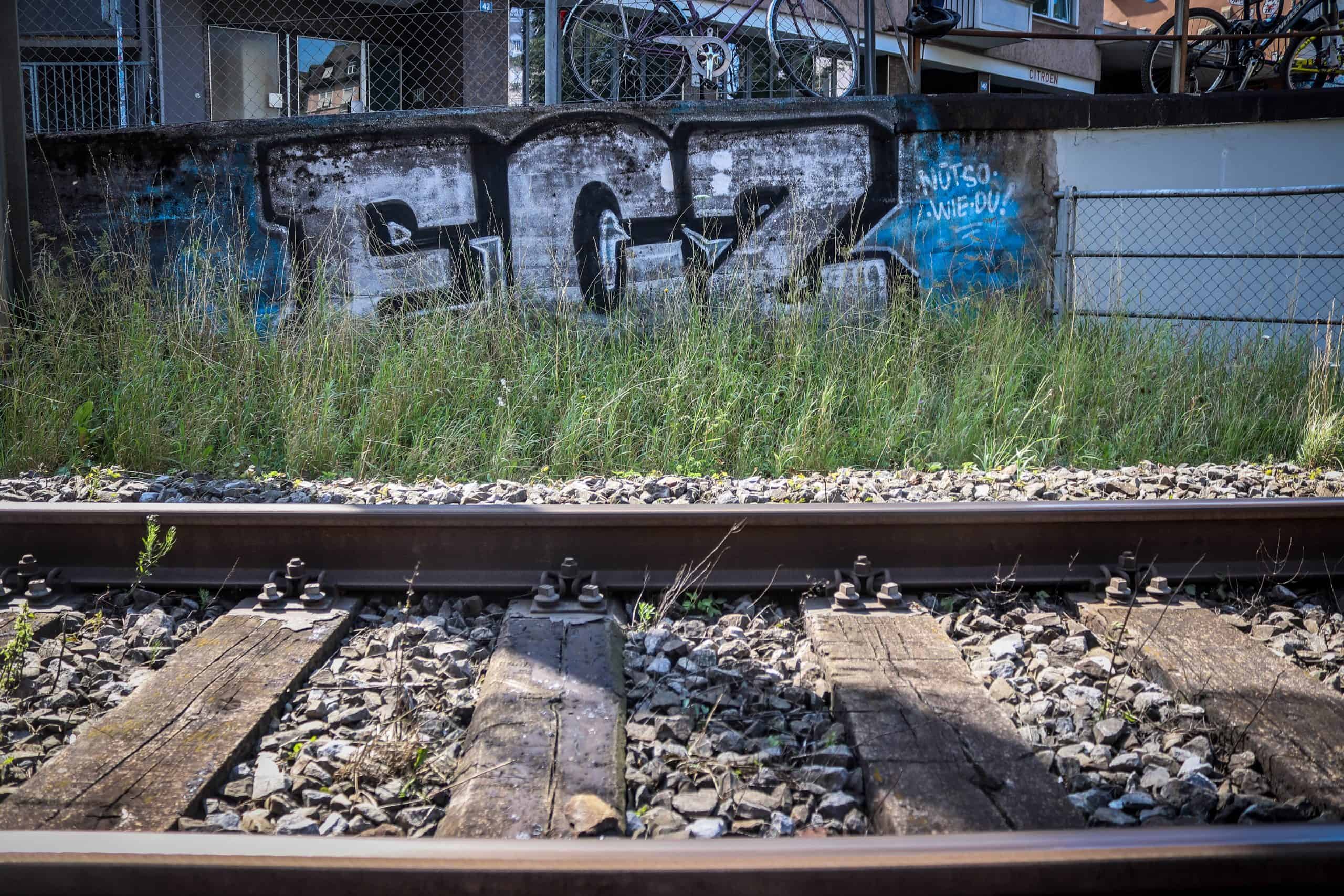 FC Zürich ultras maken een graffitiwallhalla van hun stad | In de Hekken