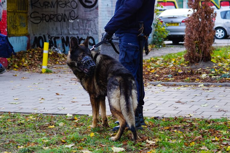 Widzew LKS 38