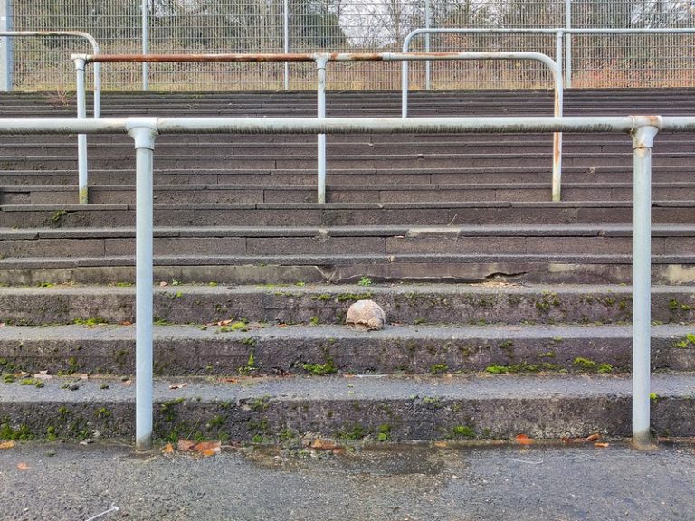lekke bal