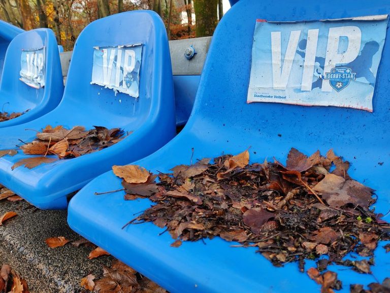 vip seat