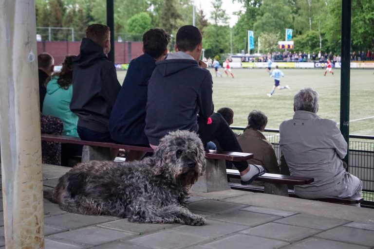 VV Dieren schakelt JVC Cuijk uit voor titelstrijd in goedbezoch topper