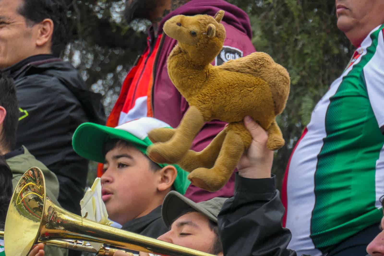 Een awayday met CD Palestino: de Palestijnse trots van Chili