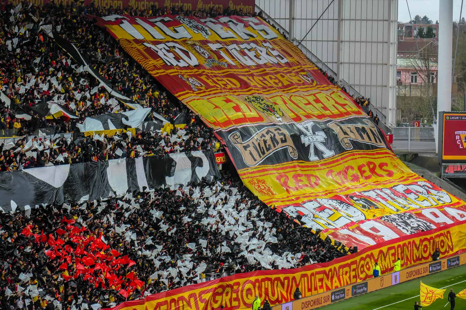 30 jaar Red Tigers; ultras Lens maken er schitterende dag van!