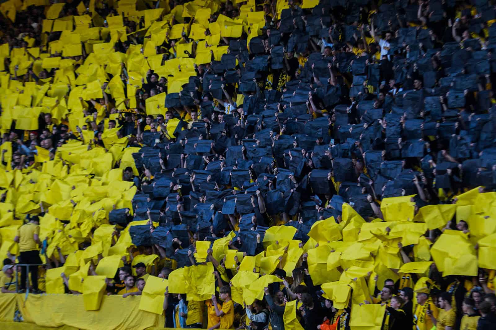 Ultieme deceptie bij Roda JC zorgt voor bizarre beelden