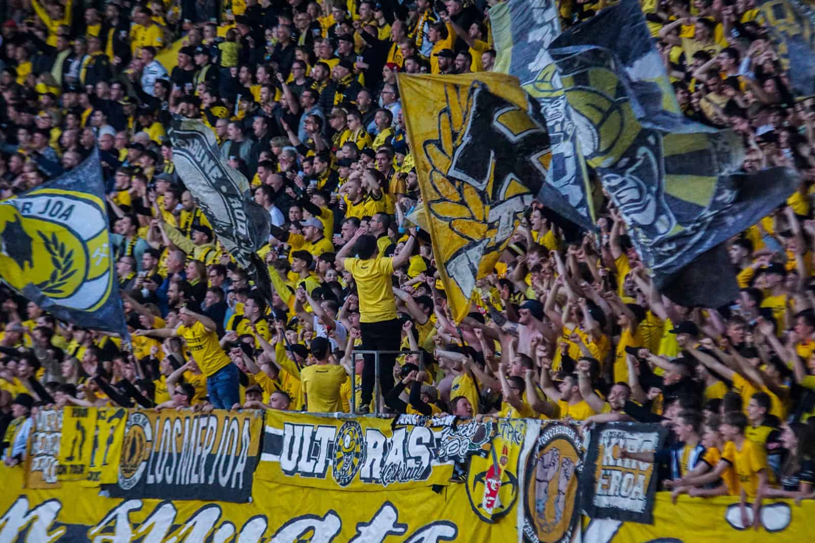 Ultieme deceptie bij Roda JC zorgt voor bizarre beelden