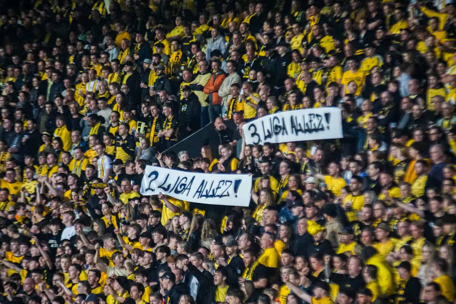 Ultieme deceptie bij Roda JC zorgt voor bizarre beelden