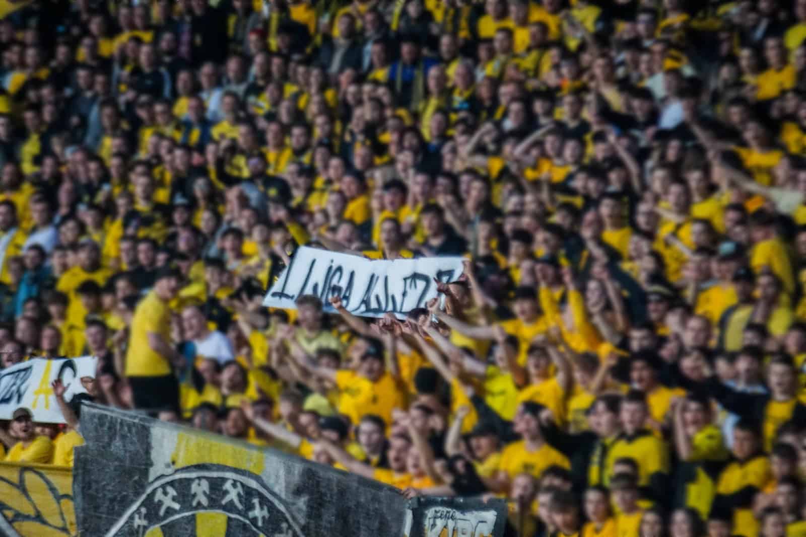 Ultieme deceptie bij Roda JC zorgt voor bizarre beelden