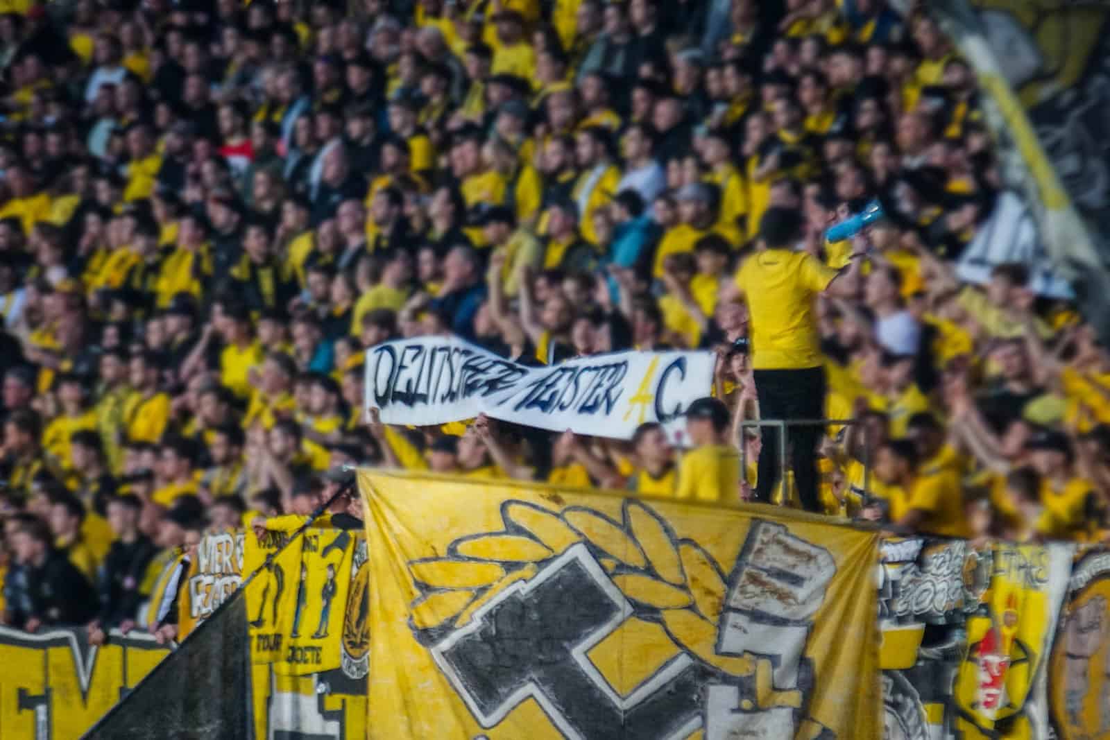 Ultieme deceptie bij Roda JC zorgt voor bizarre beelden